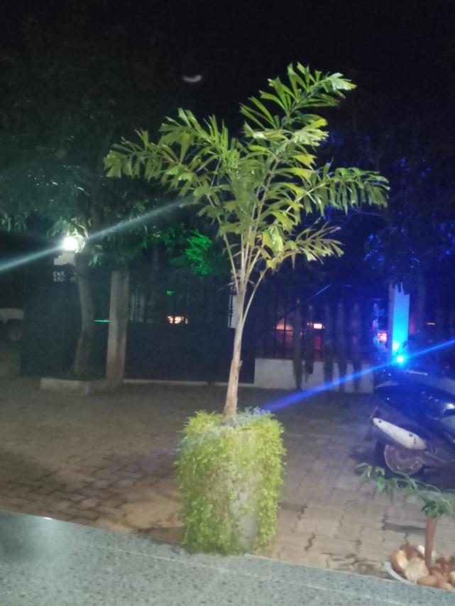 Restwell Homestay Dambulla Dış mekan fotoğraf