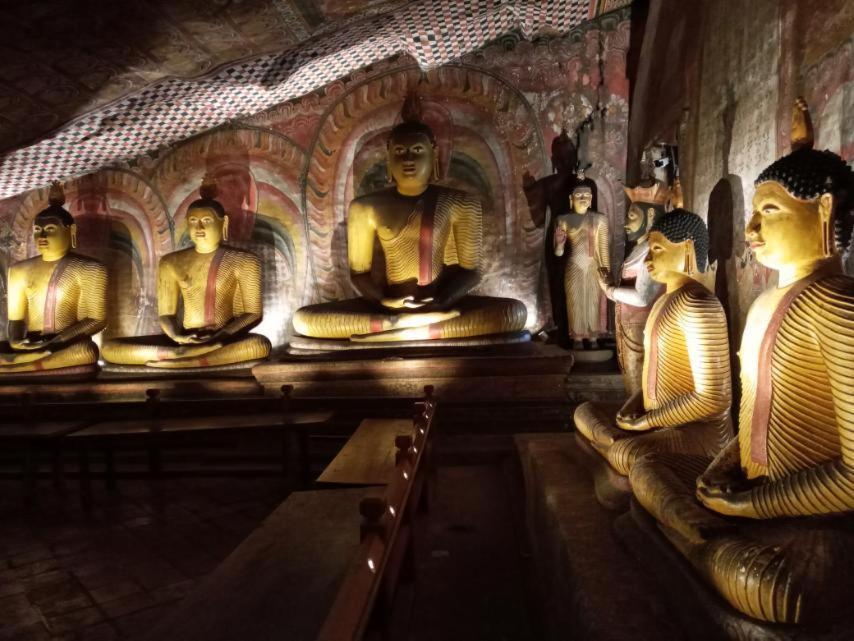 Restwell Homestay Dambulla Dış mekan fotoğraf